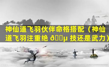 神仙道飞羽伙伴命格搭配（神仙道飞羽注重绝 🌵 技还是武力）